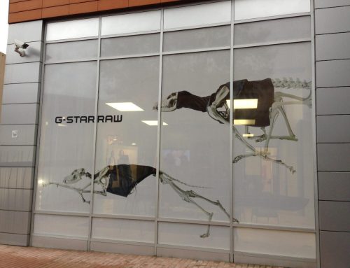 ¿Qué son los vinilos reposicionables?