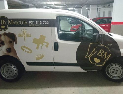 Normas básicas para rotular tus vehículos de empresa